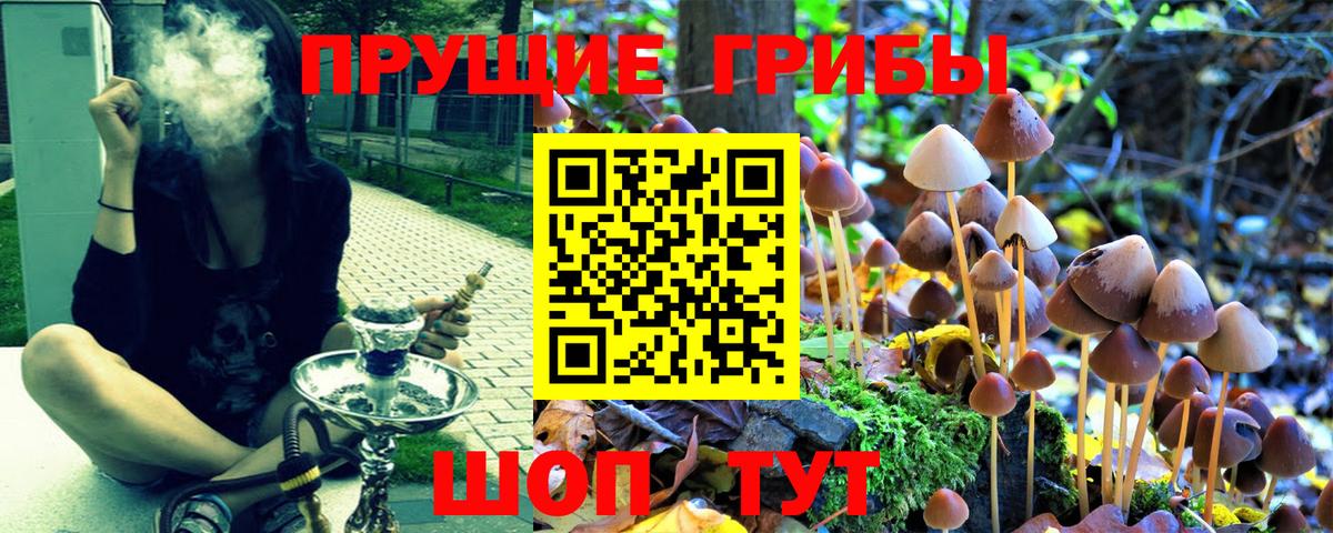 Псилоцибиновые грибы ЛСД  Вход с VPN  Новочеркасск 