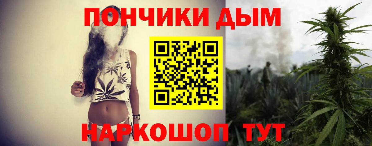 Бошки марихуана конопля Новочеркасск